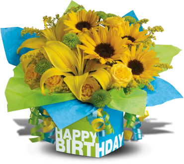 Sunny Birthday Present