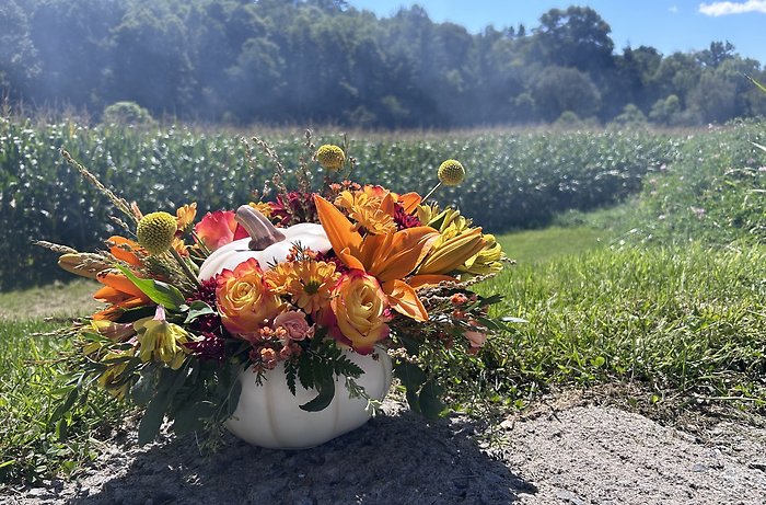 Perfectly Pumpkin for Fall