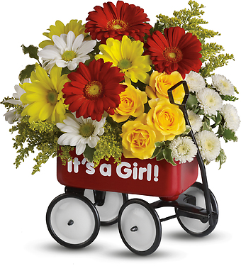 Baby\'s Wow Wagon - Girl