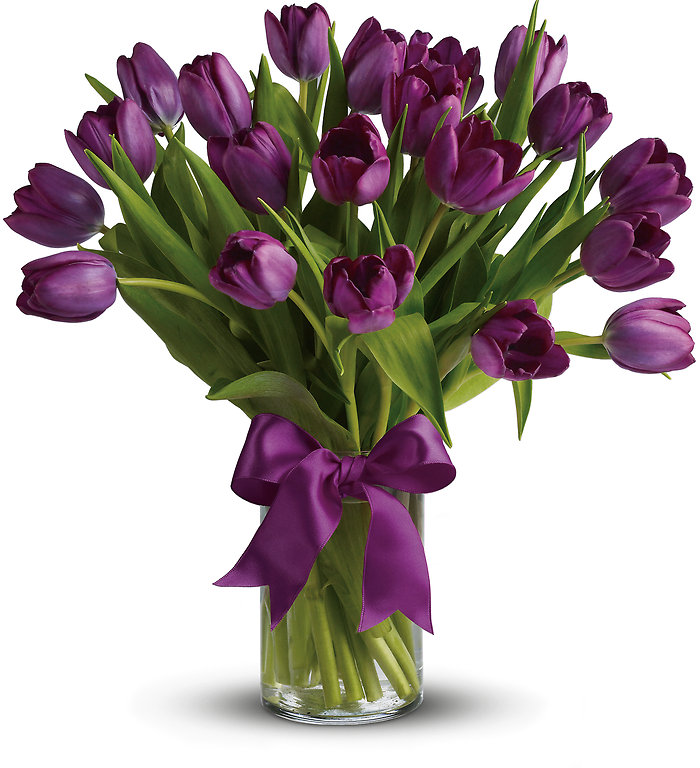 Passionate Purple Tulips