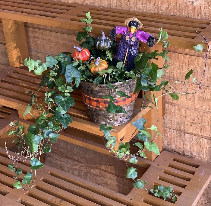 Autumn Ivy Basket