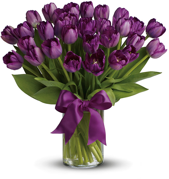 Passionate Purple Tulips