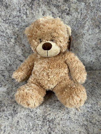Small Tan Teddy Bear