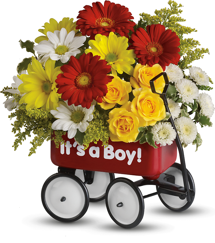 Baby\'s Wow Wagon - Boy