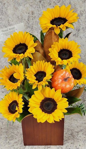 Field of Sunflowers