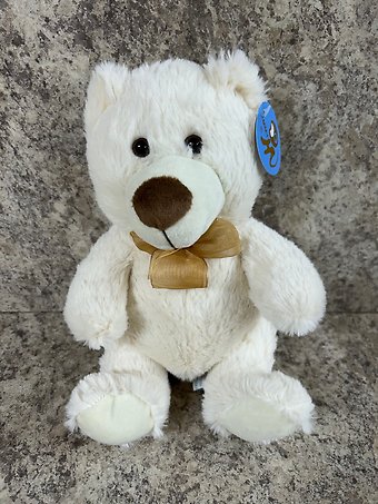 Small White Teddy Bear