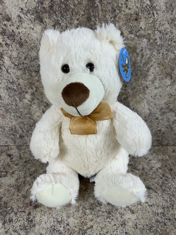 Small White Teddy Bear