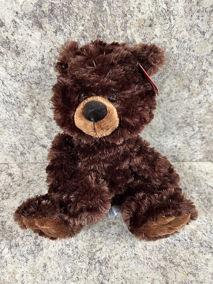 Dark Brown Teddy Bear