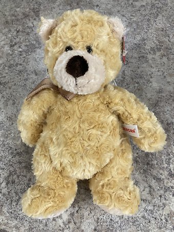 Tan Teddy Bear