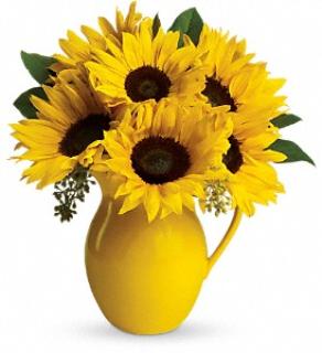 Sunny Day Pitcher of Sunflowers