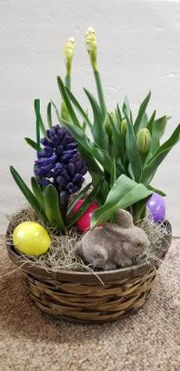 Bulb Garden
