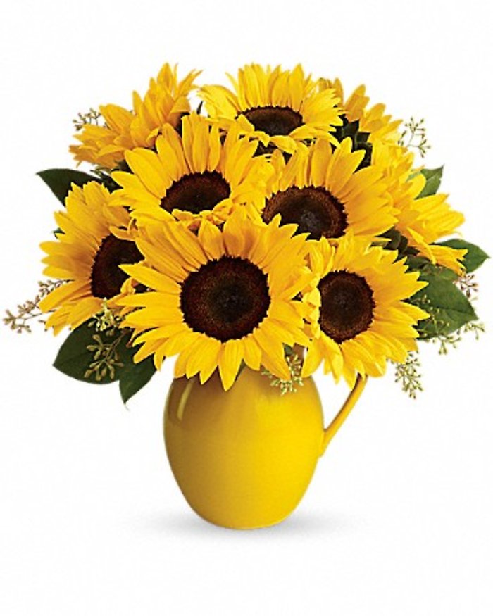 Sunny Day Pitcher of Sunflowers